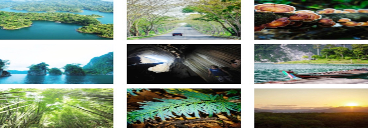 Khao sok National park Khao sok National park