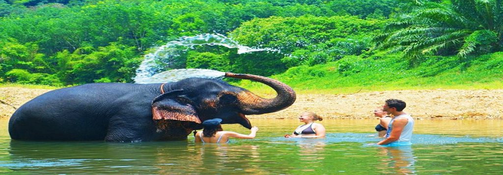 Khao Sok National Park tours